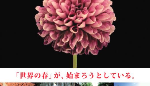 12月のJOY∞JOBシネマ『オキュパイ・ラブ』