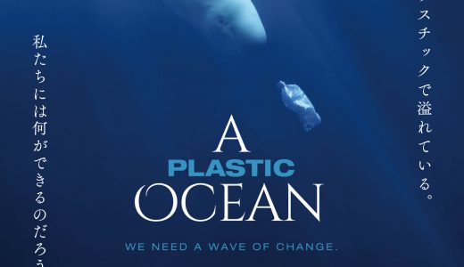 2/17・19　映画『プラスチックの海』＜ひととひとシネマダイアローグ＞